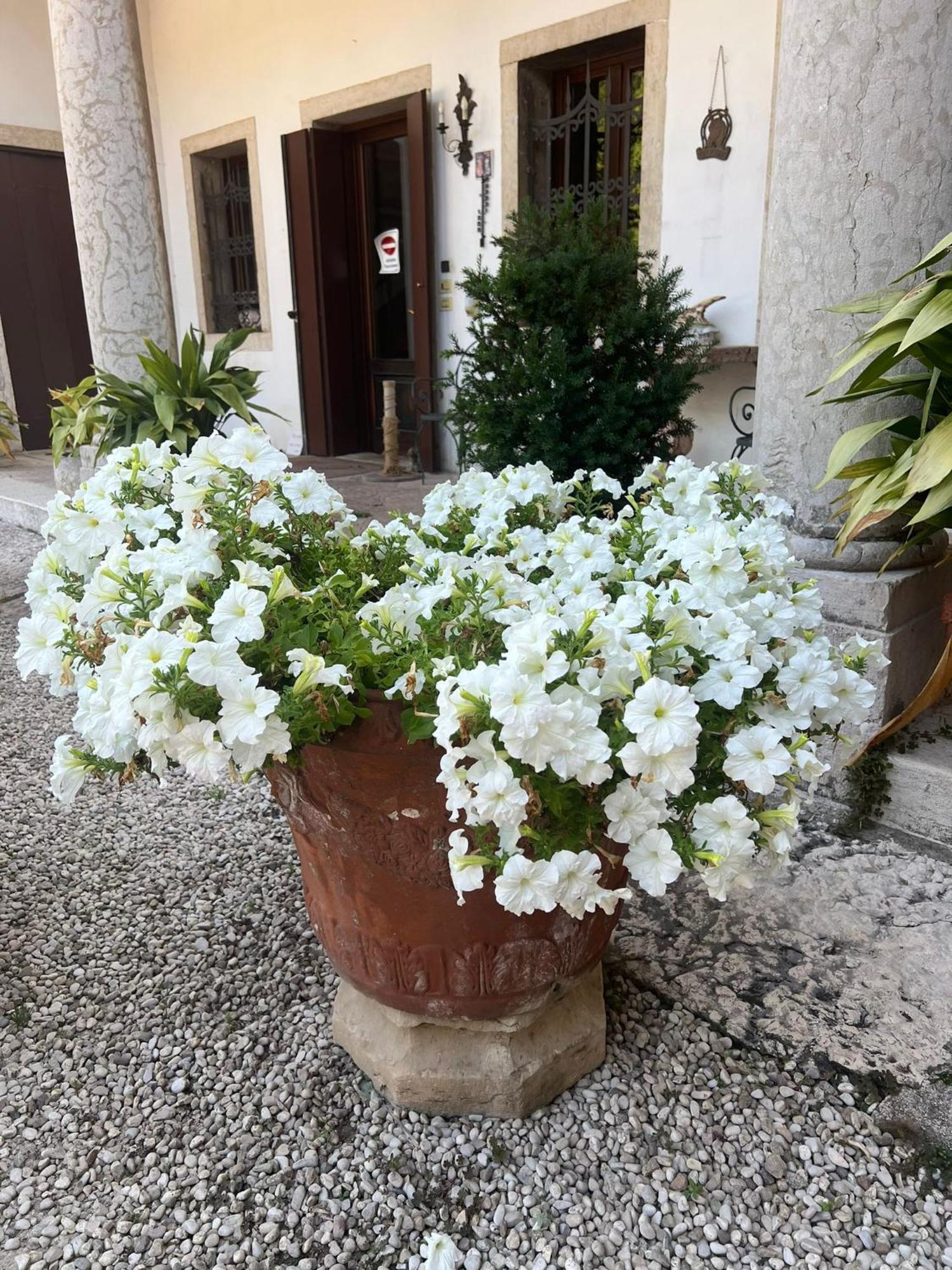 Villa Stecchini Bassano del Grappa Exterior photo